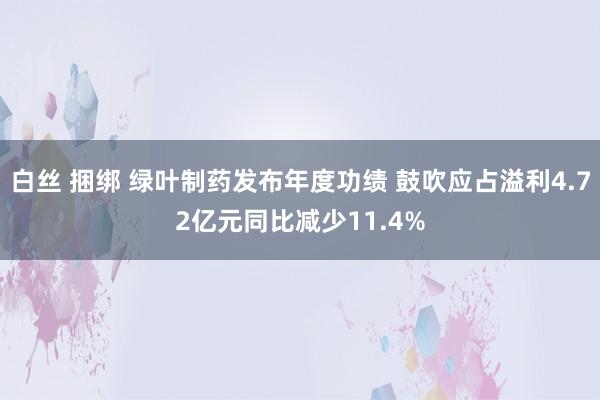 白丝 捆绑 绿叶制药发布年度功绩 鼓吹应占溢利4.72亿元同比减少11.4%