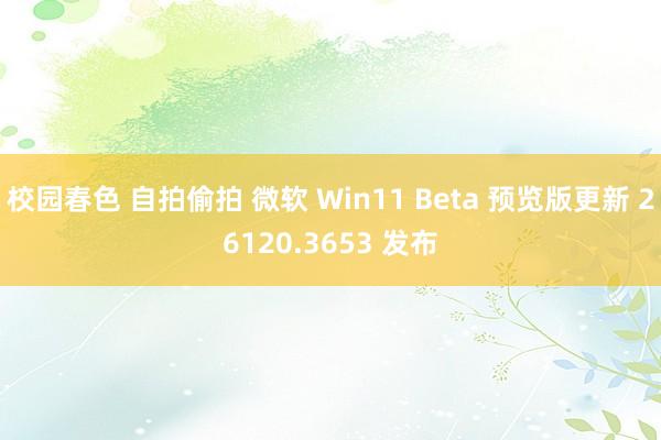 校园春色 自拍偷拍 微软 Win11 Beta 预览版更新 26120.3653 发布