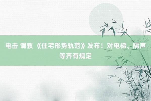 电击 调教 《住宅形势轨范》发布！对电梯、隔声等齐有规定