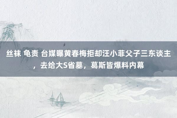 丝袜 龟责 台媒曝黄春梅拒却汪小菲父子三东谈主，去给大S省墓，葛斯皆爆料内幕