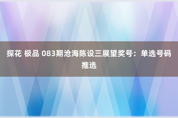 探花 极品 083期沧海陈设三展望奖号：单选号码推选