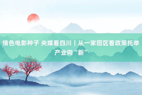 情色电影种子 央媒看四川｜从一家园区看政策托举产业向“新”