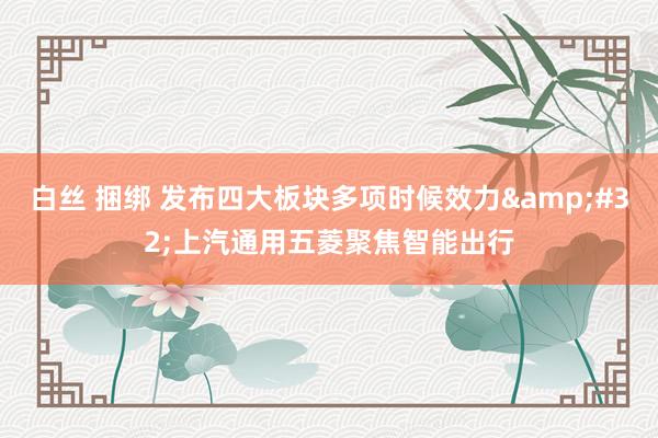 白丝 捆绑 发布四大板块多项时候效力&#32;上汽通用五菱聚焦智能出行