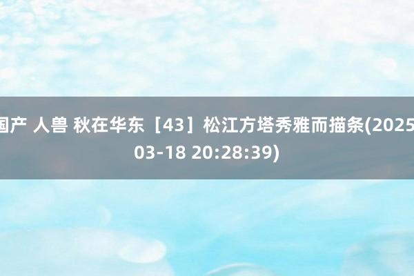 国产 人兽 秋在华东［43］松江方塔秀雅而描条(2025-03-18 20:28:39)