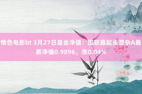 情色电影bt 3月27日基金净值：国联鑫起头混杂A最新净值0.9896，涨0.04%