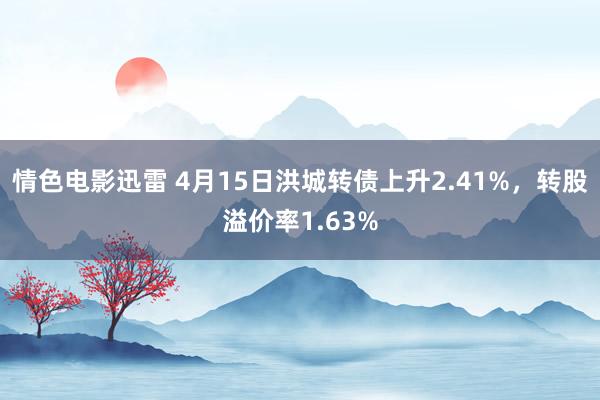 情色电影迅雷 4月15日洪城转债上升2.41%，转股溢价率1.63%