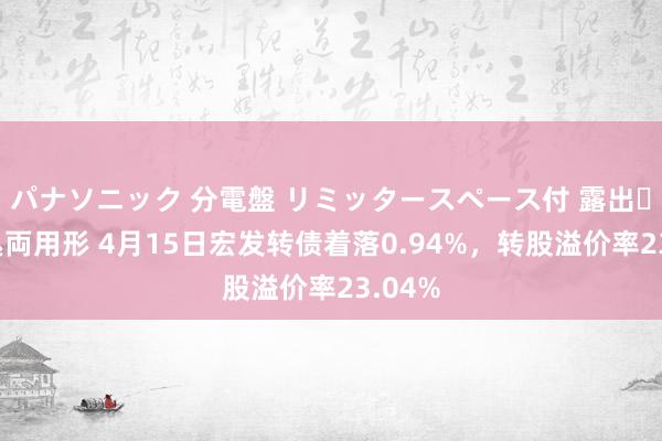 パナソニック 分電盤 リミッタースペース付 露出・半埋込両用形 4月15日宏发转债着落0.94%，转股溢价率23.04%