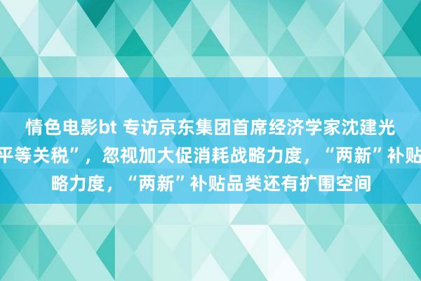 情色电影bt 专访京东集团首席经济学家沈建光：应答好意思国“平等关税”，忽视加大促消耗战略力度，“两新”补贴品类还有扩围空间