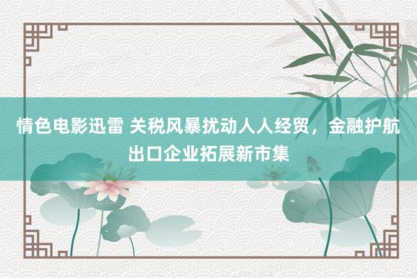 情色电影迅雷 关税风暴扰动人人经贸，金融护航出口企业拓展新市集