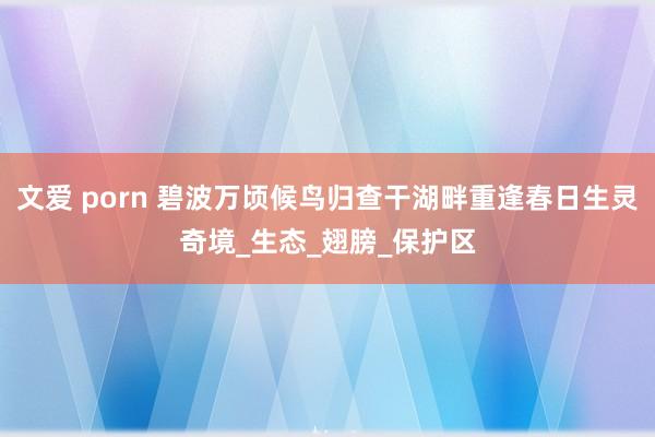 文爱 porn 碧波万顷候鸟归查干湖畔重逢春日生灵奇境_生态_翅膀_保护区