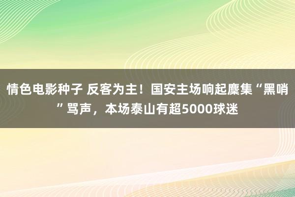 情色电影种子 反客为主！国安主场响起麇集“黑哨”骂声，本场泰山有超5000球迷