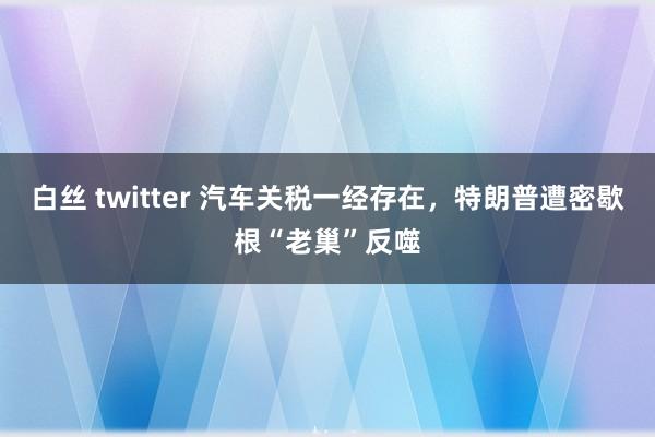 白丝 twitter 汽车关税一经存在，特朗普遭密歇根“老巢”反噬
