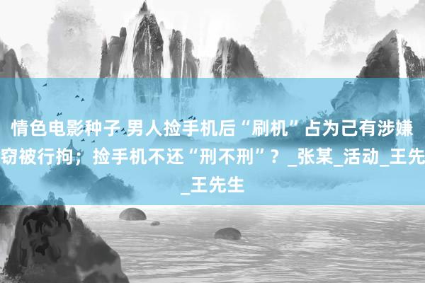 情色电影种子 男人捡手机后“刷机”占为己有涉嫌盗窃被行拘；捡手机不还“刑不刑”？_张某_活动_王先生