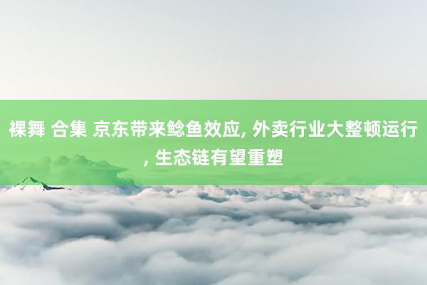 裸舞 合集 京东带来鲶鱼效应， 外卖行业大整顿运行， 生态链有望重塑