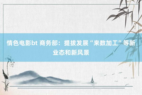情色电影bt 商务部：提拔发展“来数加工”等新业态和新风景