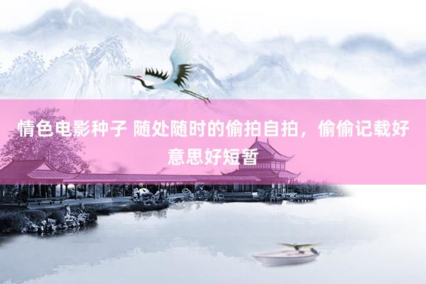 情色电影种子 随处随时的偷拍自拍，偷偷记载好意思好短暂