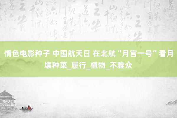 情色电影种子 中国航天日 在北航“月宫一号”看月壤种菜_履行_植物_不雅众