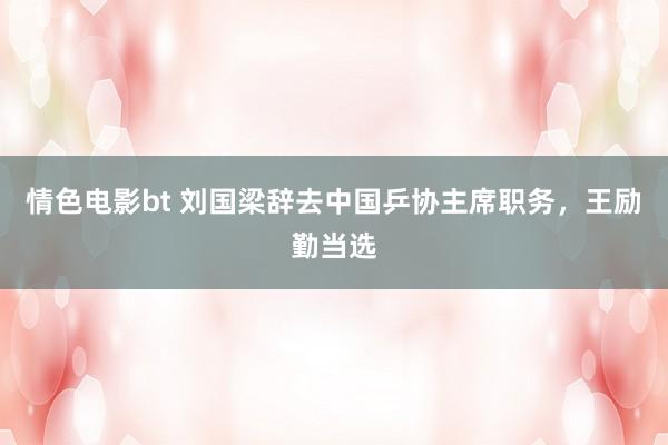 情色电影bt 刘国梁辞去中国乒协主席职务，王励勤当选
