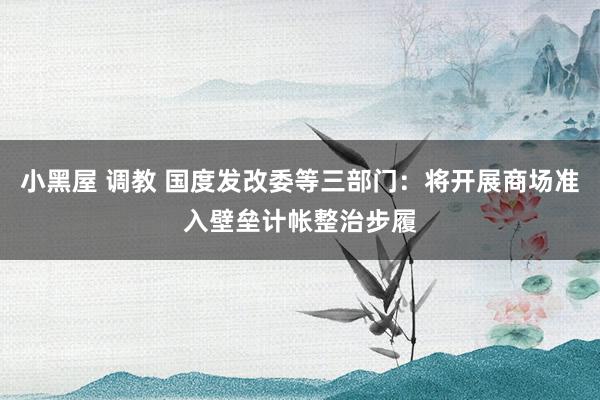 小黑屋 调教 国度发改委等三部门：将开展商场准入壁垒计帐整治步履