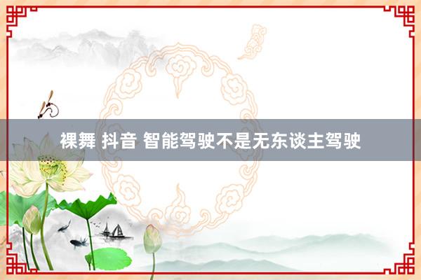 裸舞 抖音 智能驾驶不是无东谈主驾驶