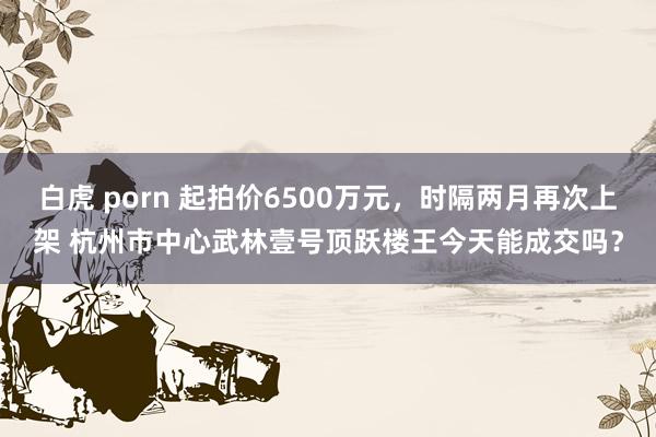 白虎 porn 起拍价6500万元，时隔两月再次上架 杭州市中心武林壹号顶跃楼王今天能成交吗？