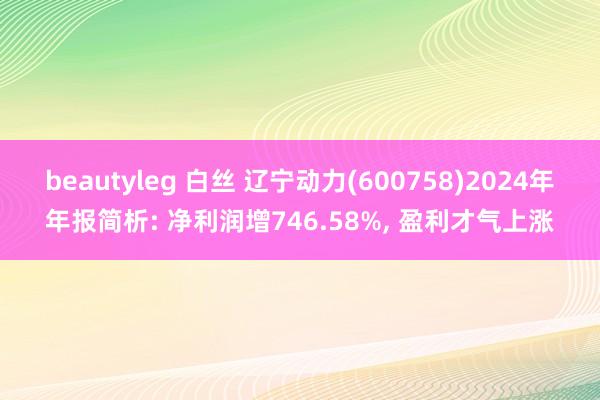 beautyleg 白丝 辽宁动力(600758)2024年年报简析: 净利润增746.58%， 盈利才气上涨
